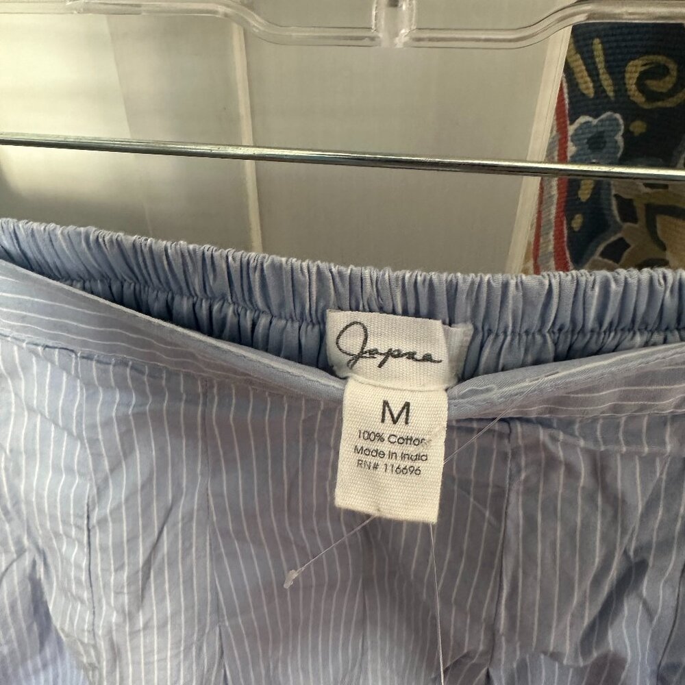 TJ Maxx Blue and White Pleated Mini Skirt